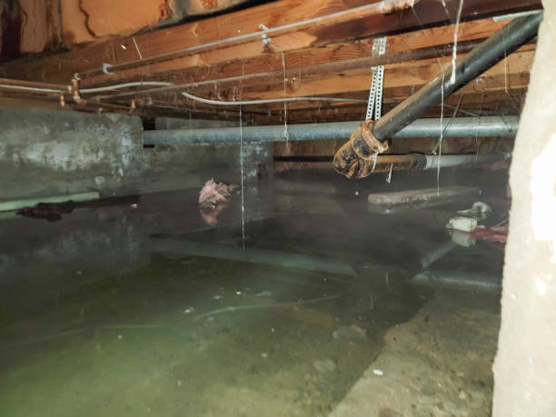 Best Commercial water damage restoration  in Panama, OK